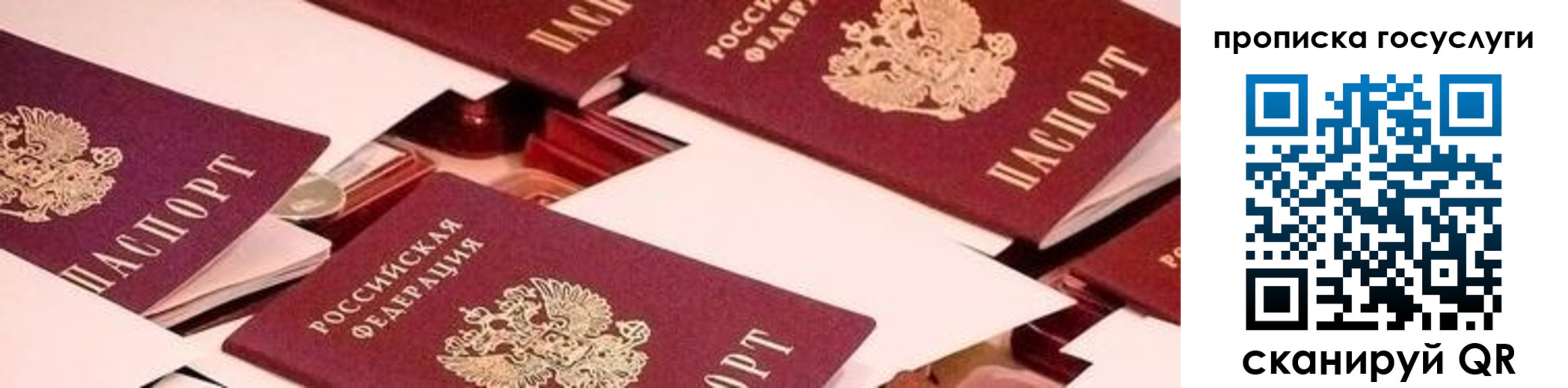 регистрация в Сертолово